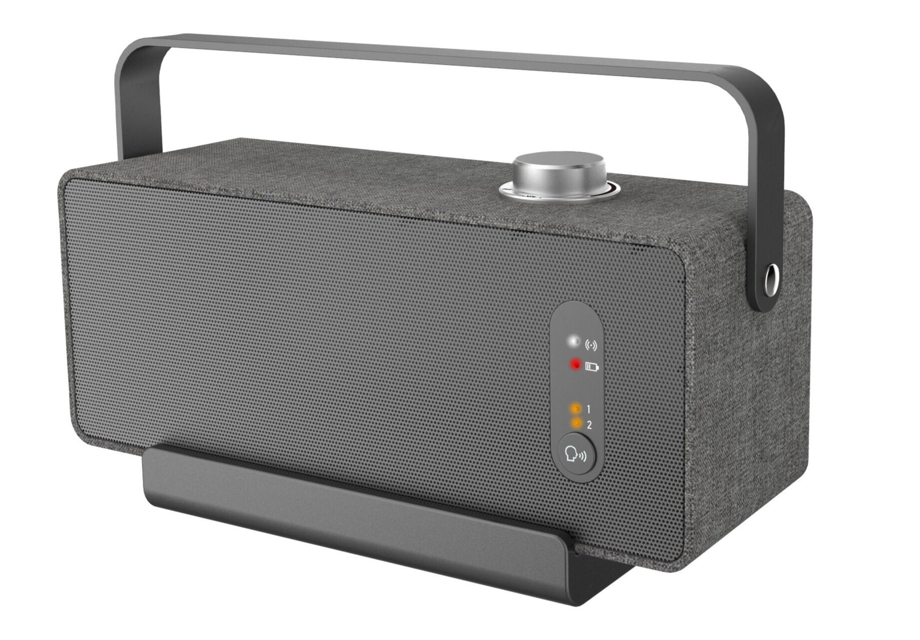 ZT-1009 TV Speaker